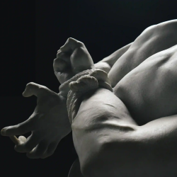 shibari捆绑打结教程入门！