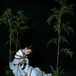 绳艺初学者必读：SM捆绑游戏中的安全绑法入门