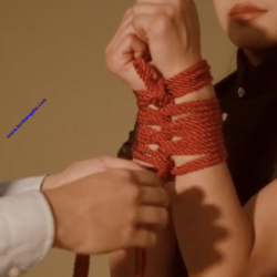 双柱缚及其应用 Double column binding and its application