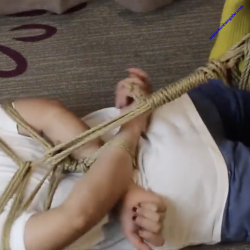 驷马倒攒蹄捆绑教学