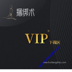 整站视频教学下载区（终身vip 直达）